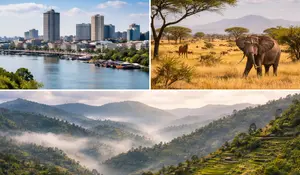 Cameroon geography: The modern buildings of Douala, the Waza National Park savanna, and the misty hills of the Western Highlands.