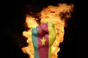 Cameroon Elections