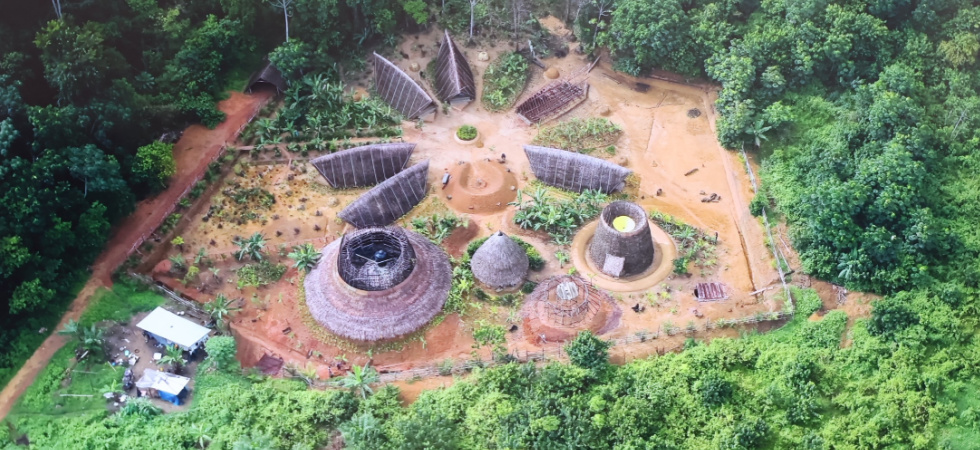 A village in the centre of a forest in Cameroon