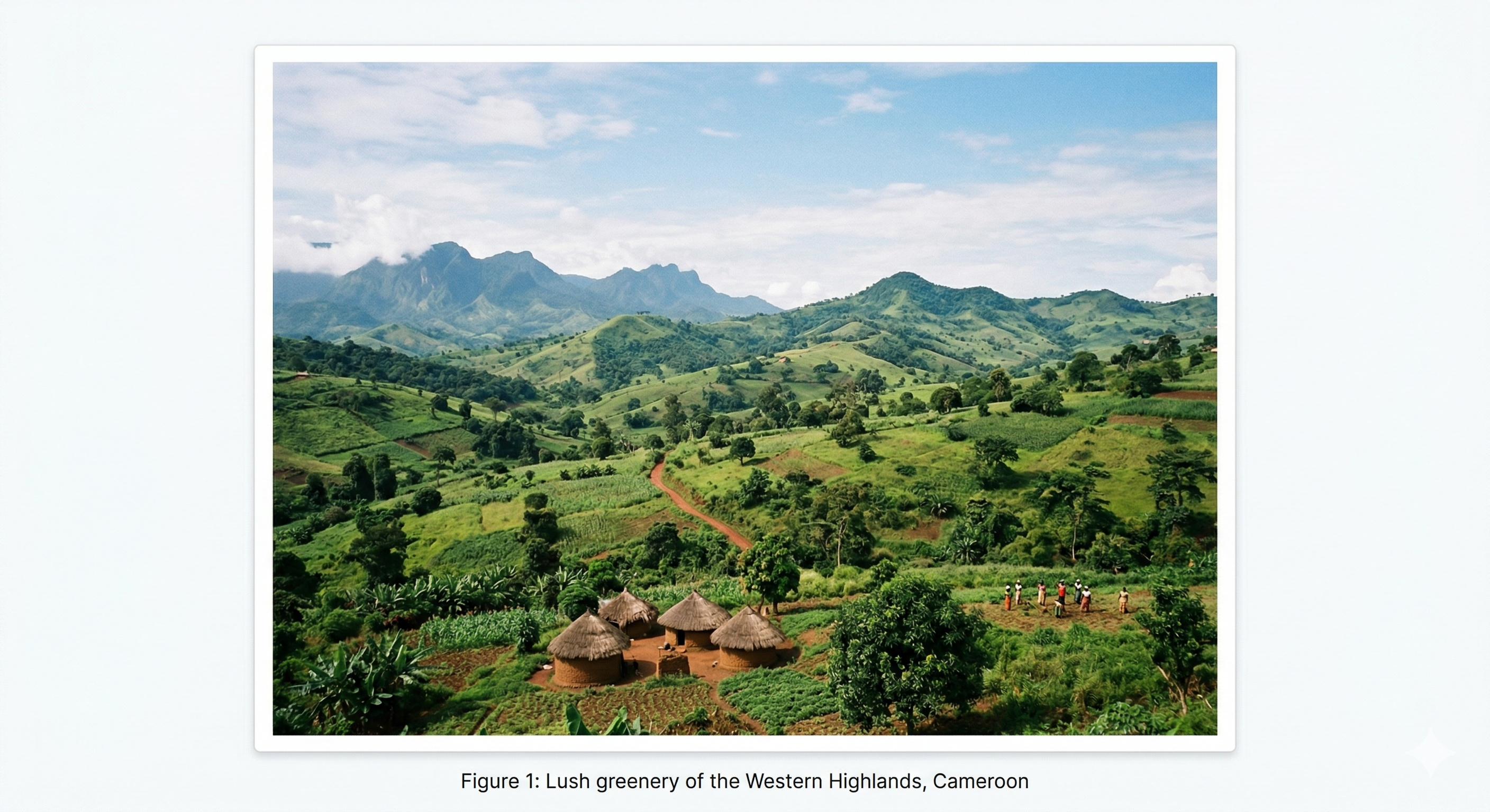 The diverse terrain of the Cameroon map